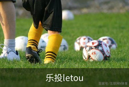 关于乐投letou